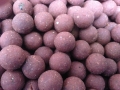 Genesis - Revolution Baits - Active Bait Solutions