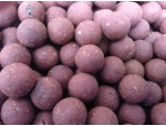 Genesis - Revolution Baits - Active Bait Solutions