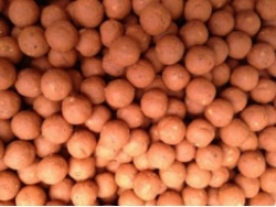 Plan B - Revolution Baits - Active Bait Solutions