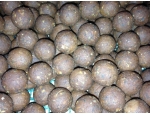 Rock Lobster - Revolution Baits - Active Bait Solutions