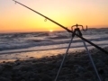 Sea Fishing
