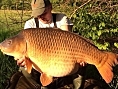 Simon Firth, 3rd May<br /><font color=red>54lb 06oz PB Common</font>