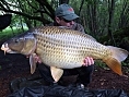 Simon Firth, 3rd May<br /><font color=black>31lb Common</font>